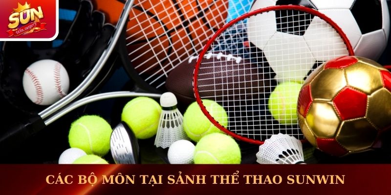 Các bộ môn tại sảnh thể thao Sunwin